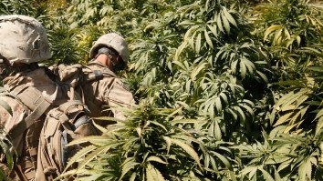 US Marine Veteran Built A Drug Empire And Aspired To Be The Next El Chapo