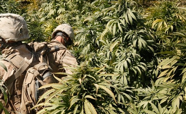 US Marine Veteran Accused Of Running Drug Empire with Pipeline into US