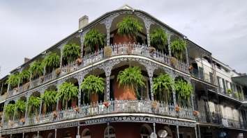 9 Things To Do In New Orleans Right Now