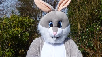 A Man In An Easter Bunny Suit Beat The Crap Out Of A Guy While Breaking Up A Fight In The Wildest Video You’ll See Today