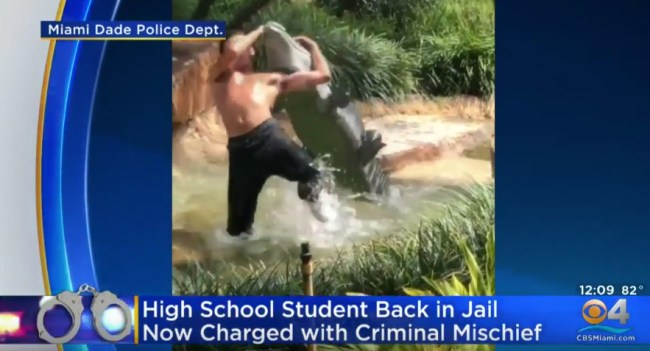 Florida Student Arrested Again For RKOing A Fake Alligator At A Mall