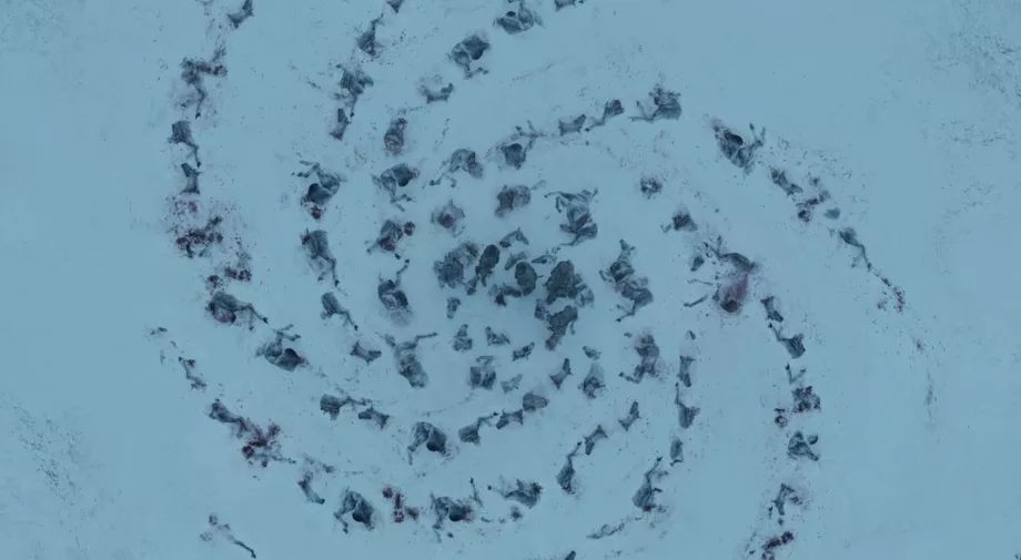 game of thrones white walkers spiral symbol horse parts