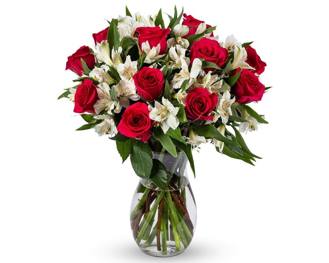 Best Mother’s Day Gifts