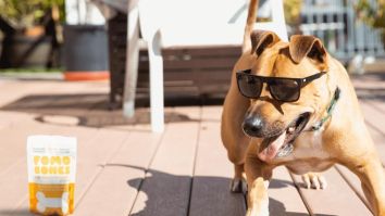 Have A Pup That Doesn’t Play Nice With Others? FOMO Bones CBD Dog Treats Can Help