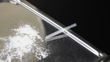 Scientists Found Cocaine And Ketamine In Shrimp Plucked From England’s Rivers And I Have So Many Questions