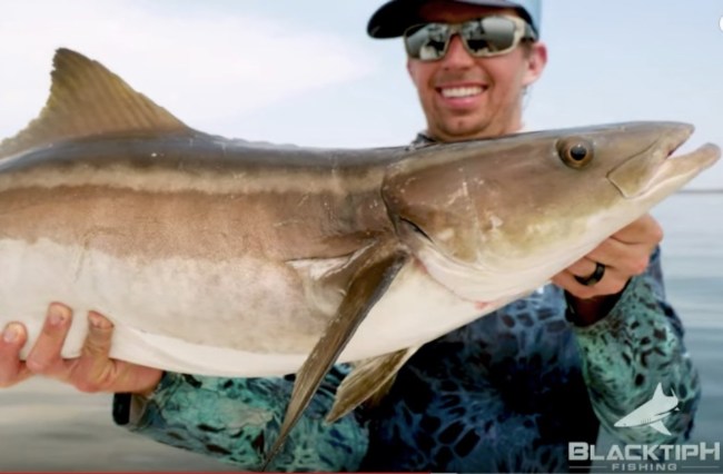 drone fishing cobia Blacktiph