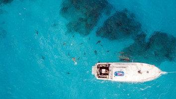 21-Year-Old Woman Killed By Shark Attack While Vacationing In The Bahamas