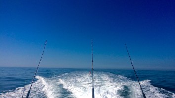 Best Fishing Trip Ever Or Charter From Hell? Charter Capt. Allegedly Did Cocaine, Got Hammered, And Shot His Gun