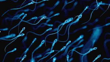 Man Named The ‘Sperminator’ Who Gives Women Free Sperm Becomes A Father For 50th Time, This Time A Homeless Woman