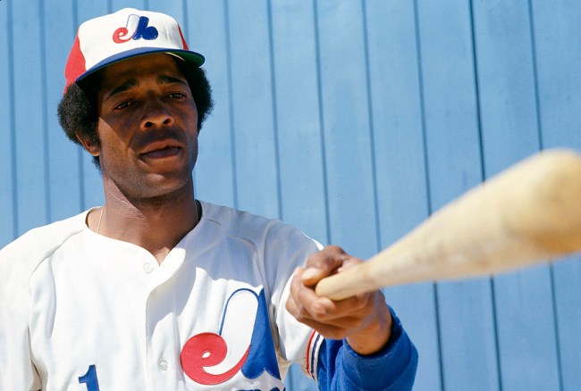 tampa bay rays montreal