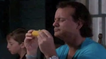 Richard Dreyfuss Shared A Story About ‘Irish Drunken Bully’ Bill Murray Throwing An Ashtray At His F’n Head