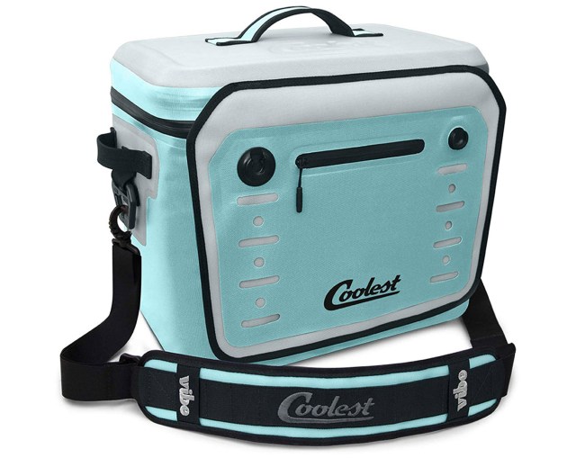 Best Beach Coolers