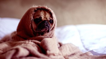 The Internet Is Losing It Over This Deranged Couple Who Don’t Sleep On The Same Side Of The Bed Every Night