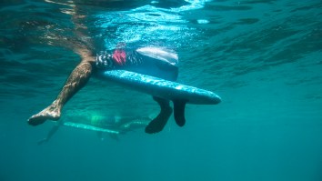 Surfer Got Bitten By A Shark In Jacksonville Then Went To The Bar For Free Drinks Instead Of The Hospital