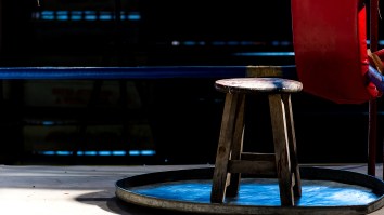 5 Viral Stars That Would Be Ideal Opponents For Bagel Boss To Fight This Fall