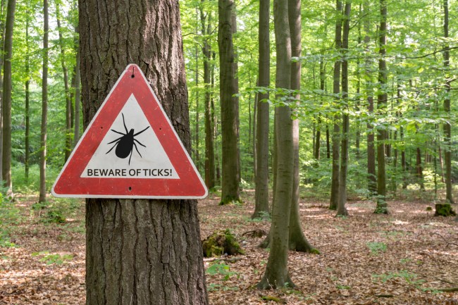Book and report says Pentagon's Department of Defense may have released weaponized ticks into the wild and House investigating through the National Defense Authorization Act (NDAA)
