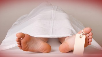 There’s Now A Blood Test That Predicts With Over 80% Accuracy If You Are Going To Die In The Next 10 Years