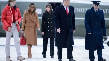 President Trump Reportedly Wants To Buy Greenland – Denmark Reacts And The Internet Has Jokes