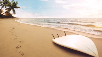 Pro Surfer Goes From Cameraman To Lifeguard And Saves A Woman Stuck In A Dangerous Rip Current