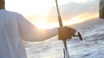 Enormous Mahi-Mahi Breaks 34-Year-Old Record Just Days Ahead Of 2019 White Marlin Open