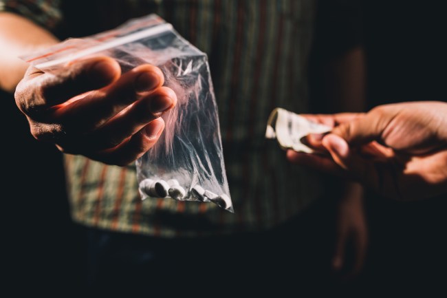 drug dealers get busted