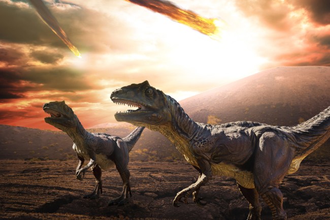 Studying rocks from the Chicxulub crater off Mexico’s Yucatan Peninsula, a worldwide research team headed by the University of Texas at Austin give stunning details of the destruction in the 24 hours and how the dinosaur-killing asteroid changed the Earth forever.