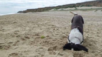 Bricks Of Cocaine Wash Ashore Florida Beaches Because Of Hurricane Dorian