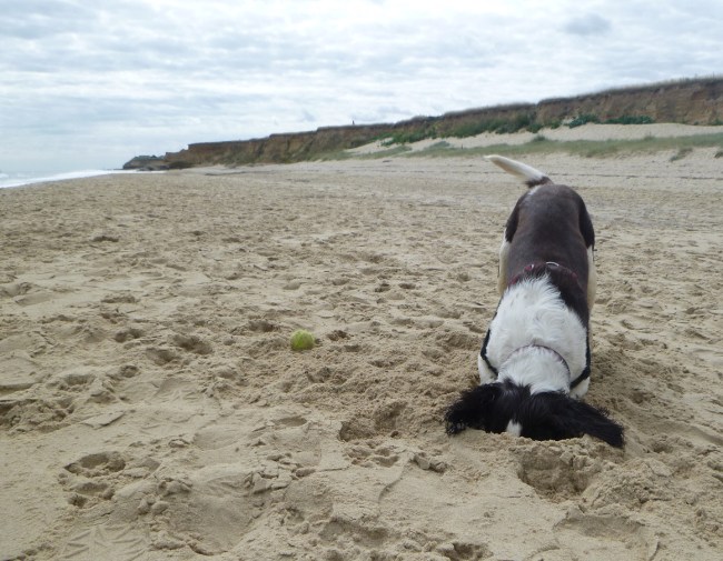 More than a dozen bricks of cocaine washed up on two Florida beaches Tuesday from waves churned up by Hurricane Dorian, police said.