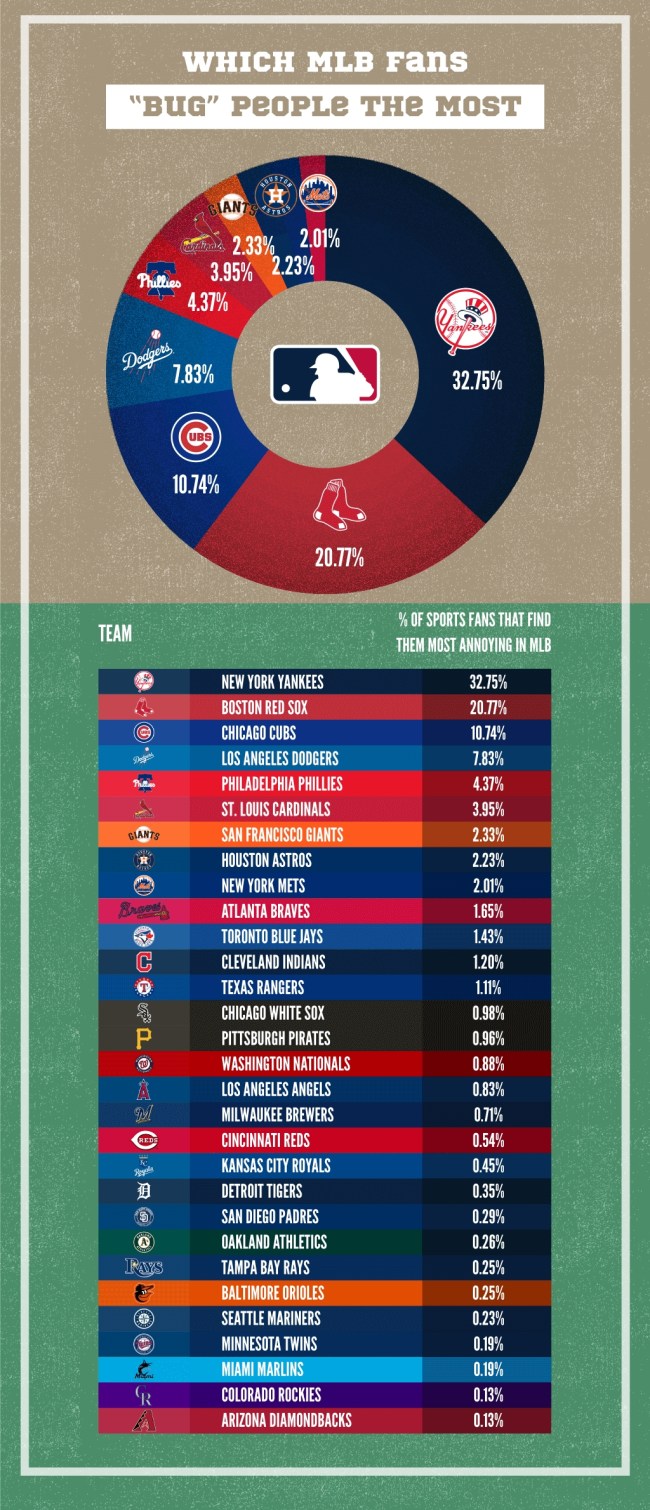 most annoying sports fan