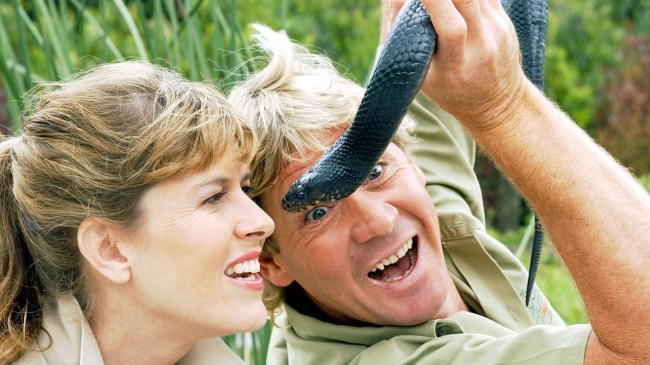 steve irwin