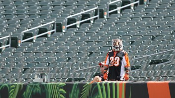 Hopeless Fan Who’s Sleeping In A Tent On His Roof Until Bengals Win One Game Gifted An Entire Pallet Of Campbell’s Chunky Soup To Warm Lonely Nights