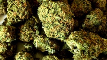 Ranking The 30 Best Stoner Colleges In America