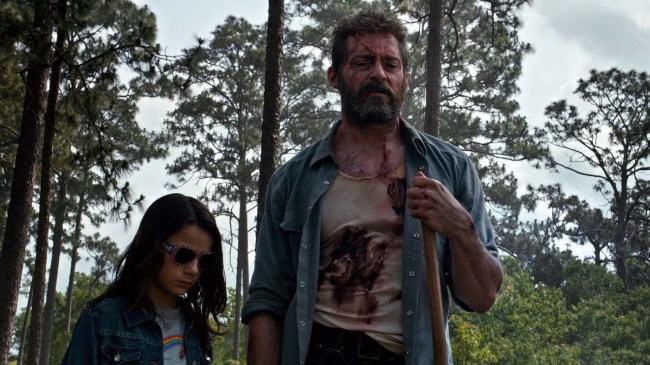 x 23
