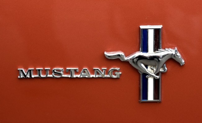 Ford accidentally leaks new details on their electric Mustang SUV called Mach-E, photos and specs released early.
