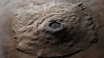 Bug Expert Declares There Are Insects On Mars And Then Suddenly Deletes Research After Backlash