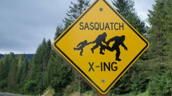 A Possible Bigfoot Sighting In Ohio Is Going Viral Thanks To HD Footage And Chilling Sounds Captured In The Clip