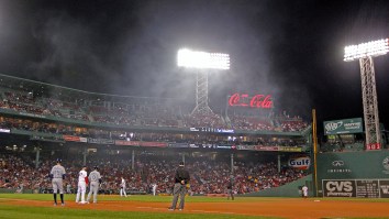 Take Weed Out To The Ballgame, Take Weed Out To The Crowd