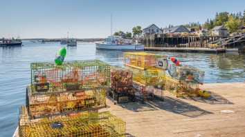 Lobster Truck Heist Described As ‘Probably The Most Boston Thing That’s Ever Happened’ By Those Involved