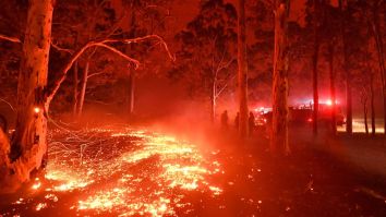 Naked Philanthropist Instagram Model Raises $300,000 For Australia Fires By Selling Nude Photos