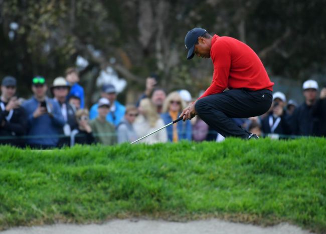 tiger woods hbo documentary review