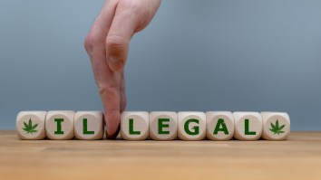 What To Expect From Federal Marijuana Legalization In 2020
