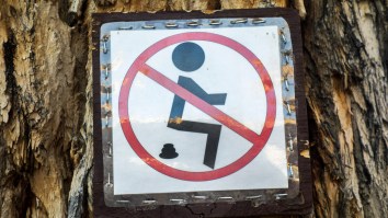 America Is Being Overrun By Serial Poopers And We Tried To Figure Out How To End This Epidemic