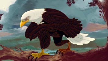 PETA Tried To Get Fox To Air This Absolutely Bonkers Super Bowl Spot Where A Bunch Of Cartoon Animals Kneel During The National Anthem