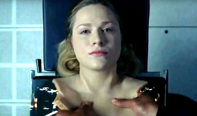 Scientists Have Now Built Robots From Living Cells Called Xenobots