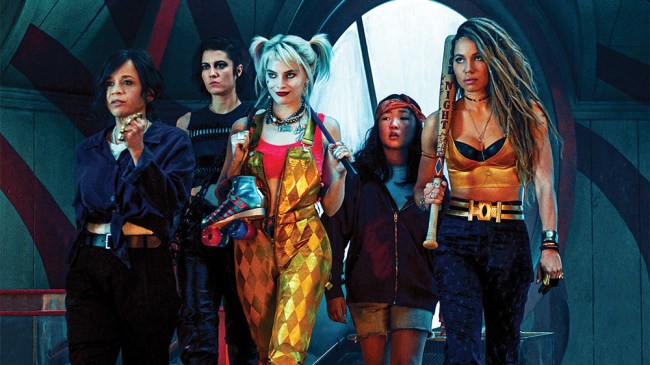 birds of prey