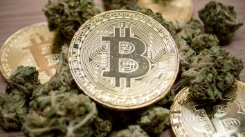 An Irish Drug Dealer Lost Access To Almost $60 Million Worth Of Bitcoin When His Passwords Were Incinerated After His Arrest