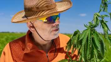 Marijuana Use By Senior Citizens Is Sky High