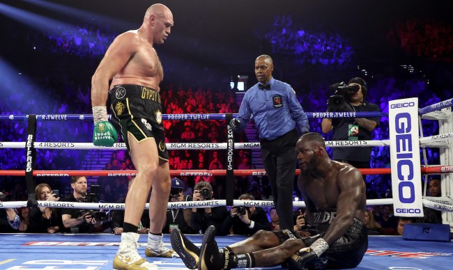 wilder fury
