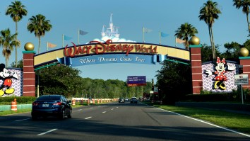 Abigail Disney After Seeing Photos Of Massive Crowds At Disney World: ‘Are You F*cking Kidding Me?’