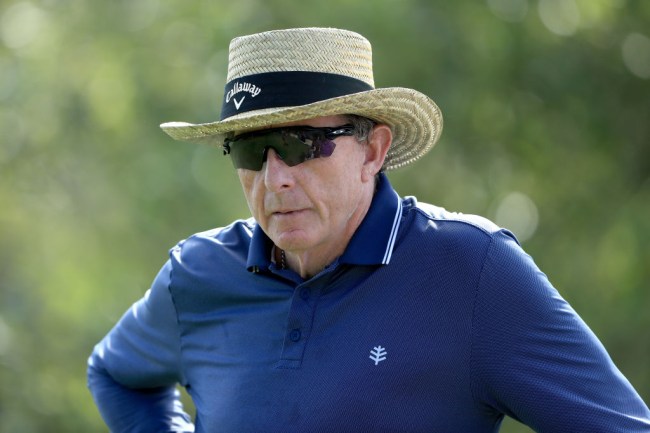 david leadbetter brandel chamblee